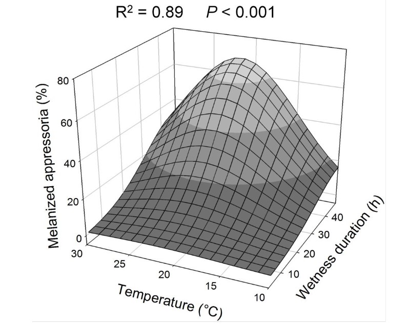 Photo 3 blueberry.jpg